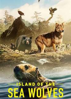 Hòn đảo của sói biển - Island of the Sea Wolves - (2022) - PhimMoi2024 - Website xem phim miễn phí tốt nhất