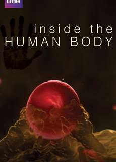Inside the Human Body - Inside the Human Body - (2011) - PhimMoi2024 - Website xem phim miễn phí tốt nhất