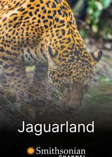 Jaguarland - Jaguarland - (2020) - PhimMoi2024 - Website xem phim miễn phí tốt nhất