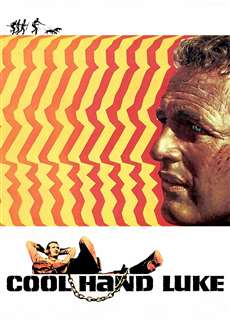 Kẻ Trơ Tráo - Cool Hand Luke - (1967) - PhimMoi2024 - Website xem phim miễn phí tốt nhất