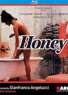 Khách Sạn Dục Vọng - Honey - (1981) - PhimMoi2024 - Website xem phim miễn phí tốt nhất