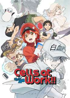 Khi Các Tế Bào Làm Việc (Phần 2) - Cells at Work! S2 - (2021) - PhimMoi2024 - Website xem phim miễn phí tốt nhất