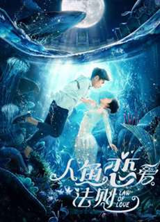Khi Người Cá Yêu - The Rules of Love - (2019) - PhimMoi2024 - Website xem phim miễn phí tốt nhất