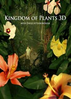 Kingdom of Plants - Kingdom of Plants - (2012) - PhimMoi2024 - Website xem phim miễn phí tốt nhất
