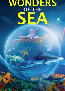 Kỳ Quan Của Đại Dương - Wonders of the Sea 3D - (2017) - PhimMoi2024 - Website xem phim miễn phí tốt nhất