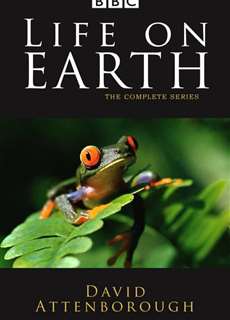 Life on Earth - Life on Earth - (1979) - PhimMoi2024 - Website xem phim miễn phí tốt nhất