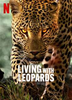  Living with Leopards -  Living with Leopards - (2024) - PhimMoi2024 - Website xem phim miễn phí tốt nhất