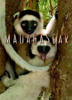 Madagascar 2011 - Madagascar - (2011) - PhimMoi2024 - Website xem phim miễn phí tốt nhất