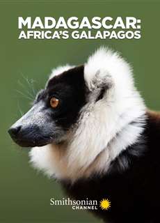 Madagascar: Africa's Galapagos - Madagascar: Africa's Galapagos - (2019) - Website xem phim miễn phí tốt nhất