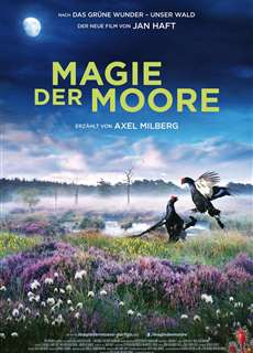 Magie der Moore - Magie der Moore - (2015) - PhimMoi2024 - Website xem phim miễn phí tốt nhất