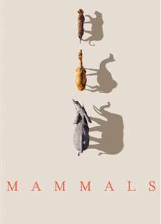 Mammals (2024) - Mammals - (2024) - PhimMoi2024 - Website xem phim miễn phí tốt nhất