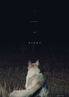 Màn Đêm Buông Xuống - It Comes At Night - (2017) - PhimMoi2024 - Website xem phim miễn phí tốt nhất