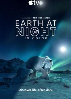 Màn đêm trên Trái Đất: Thước phim trong bóng tối - Night on Earth: Shot in the Dark - (2020) - Website xem phim miễn phí tốt nhất