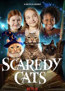 Mèo nhát - Scaredy Cats - (2021) - PhimMoi2024 - Website xem phim miễn phí tốt nhất