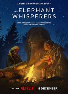 Người chăm voi - The Elephant Whisperers - (2022) - PhimMoi2024 - Website xem phim miễn phí tốt nhất