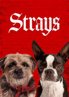Những Chú Chó Bụi Đời - Strays - (2023) - PhimMoi2024 - Website xem phim miễn phí tốt nhất