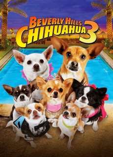 Những Chú Chó Chihuahua 3 - Beverly Hills Chihuahua 3: Viva la Fiesta! - (2012) - PhimMoi2024 - Website xem phim miễn phí tốt nhất