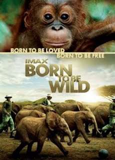 Những Loài Vật Mồ Côi - Born to Be Wild - (2011) - PhimMoi2024 - Website xem phim miễn phí tốt nhất