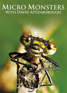 Những Quái Vật Tý Hon - Micro Monsters  - (2013) - PhimMoi2024 - Website xem phim miễn phí tốt nhất