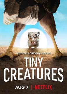 Những sinh vật tí hon - Tiny Creatures - (2020) - PhimMoi2024 - Website xem phim miễn phí tốt nhất