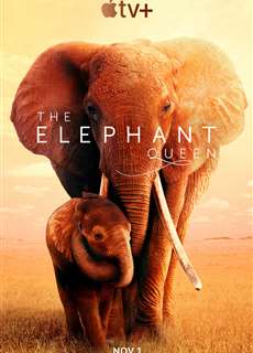 Nữ Hoàng Voi - The Elephant Queen - (2019) - PhimMoi2024 - Website xem phim miễn phí tốt nhất