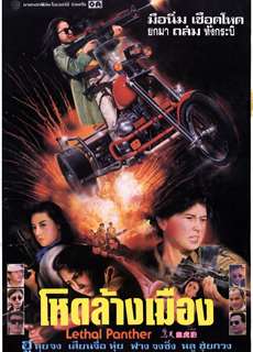 Nữ Sát Thủ Xinh Đẹp - Lethal Panther - (1990) - PhimMoi2024 - Website xem phim miễn phí tốt nhất