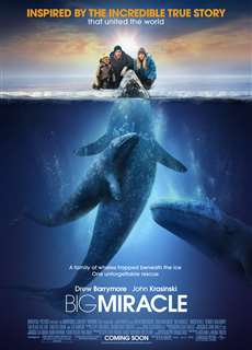 Phép Màu - Big Miracle - (2012) - PhimMoi2024 - Website xem phim miễn phí tốt nhất