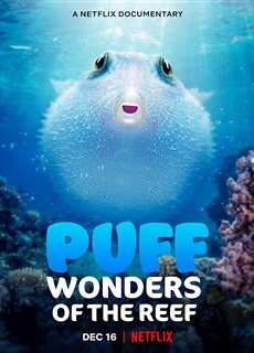Puff: Rạn san hô kỳ diệu - Puff: Wonders of the Reef - (2021) - PhimMoi2024 - Website xem phim miễn phí tốt nhất