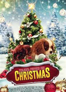 Quà Giáng Sinh Bất Ngờ - Project: Puppies for Christmas - (2019) - PhimMoi2024 - Website xem phim miễn phí tốt nhất