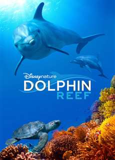 Rạn San Hô Cá Heo - Dolphin Reef - (2018) - PhimMoi2024 - Website xem phim miễn phí tốt nhất