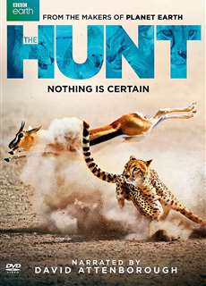 Săn Mồi - BBC: The Hunt - (2015) - PhimMoi2024 - Website xem phim miễn phí tốt nhất