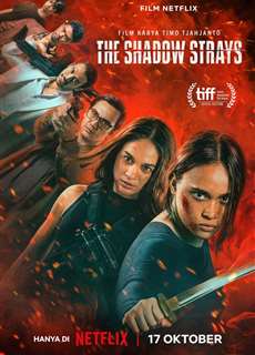 Sát Thủ Mật Danh 13 - The Shadow Strays - (2024) - Website xem phim miễn phí tốt nhất