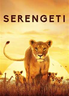 Serengeti - Serengeti - (2019) - PhimMoi2024 - Website xem phim miễn phí tốt nhất