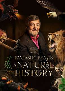 Sinh Vật Huyền Bí: Lịch Sử Tự Nhiên - Fantastic Beasts: A Natural History - (2022) - PhimMoi2024 - Website xem phim miễn phí tốt nhất
