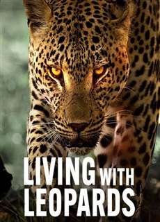 Sống cùng báo hoa - Living with Leopards - (2024) - PhimMoi2024 - Website xem phim miễn phí tốt nhất