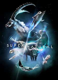 Super/Natural - Super/Natural - (2022) - PhimMoi2024 - Website xem phim miễn phí tốt nhất