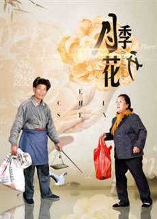 Tầm xuân nở - Mother-in-law in Town - (2017) - PhimMoi2024 - Website xem phim miễn phí tốt nhất