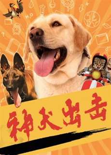 Thần chó tấn công - God dog attack - (2019) - PhimMoi2024 - Website xem phim miễn phí tốt nhất
