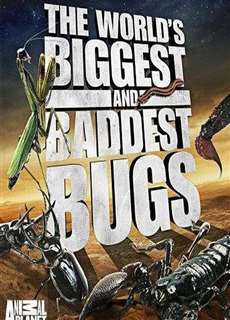 Thế Giới Côn Trùng Khổng Lồ và Nguy Hiểm - The World's Biggest and Baddest Bugs - (2009) - PhimMoi2024 - Website xem phim miễn phí tốt nhất
