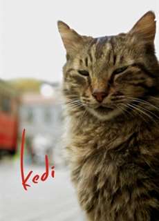 Thế Giới Loài Mèo - Kedi - (2016) - PhimMoi2024 - Website xem phim miễn phí tốt nhất