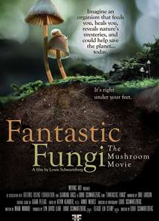 Thế giới nấm diệu kỳ - Fantastic Fungi - (2019) - PhimMoi2024 - Website xem phim miễn phí tốt nhất