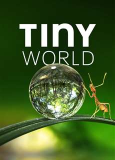 Thế Giới Siêu Nhỏ (Phần 1) - Tiny World (Season 1) - (2020) - PhimMoi2024 - Website xem phim miễn phí tốt nhất