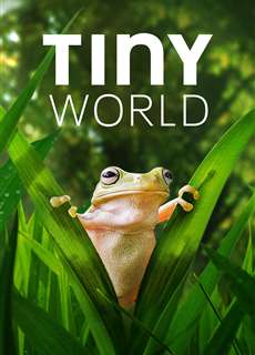 Thế Giới Siêu Nhỏ (Phần 2) - Tiny World (Season 2) - (2021) - PhimMoi2024 - Website xem phim miễn phí tốt nhất