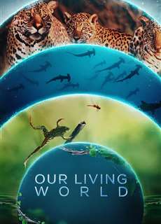 Thế giới sống của chúng ta - Our Living World - (2024) - PhimMoi2024 - Website xem phim miễn phí tốt nhất