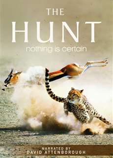 The Hunt - The Hunt - (2015) - PhimMoi2024 - Website xem phim miễn phí tốt nhất