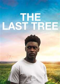 The Last Tree - The Last Tree - (2019) - PhimMoi2024 - Website xem phim miễn phí tốt nhất
