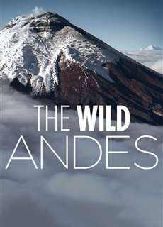 The Wild Andes - The Wild Andes - (2018) - PhimMoi2024 - Website xem phim miễn phí tốt nhất