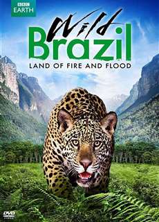 Thiên Nhiên Brazil Hoang Dã - Wild Brazil - (2014) - PhimMoi2024 - Website xem phim miễn phí tốt nhất