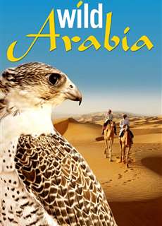 Thiên Nhiên Hoang Dã Ả Rập  - Wild Arabia - (2013) - PhimMoi2024 - Website xem phim miễn phí tốt nhất