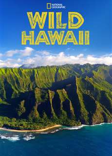 Thiên Nhiên Hoang Dã Hawaii - Wild Hawaii - (2014) - PhimMoi2024 - Website xem phim miễn phí tốt nhất